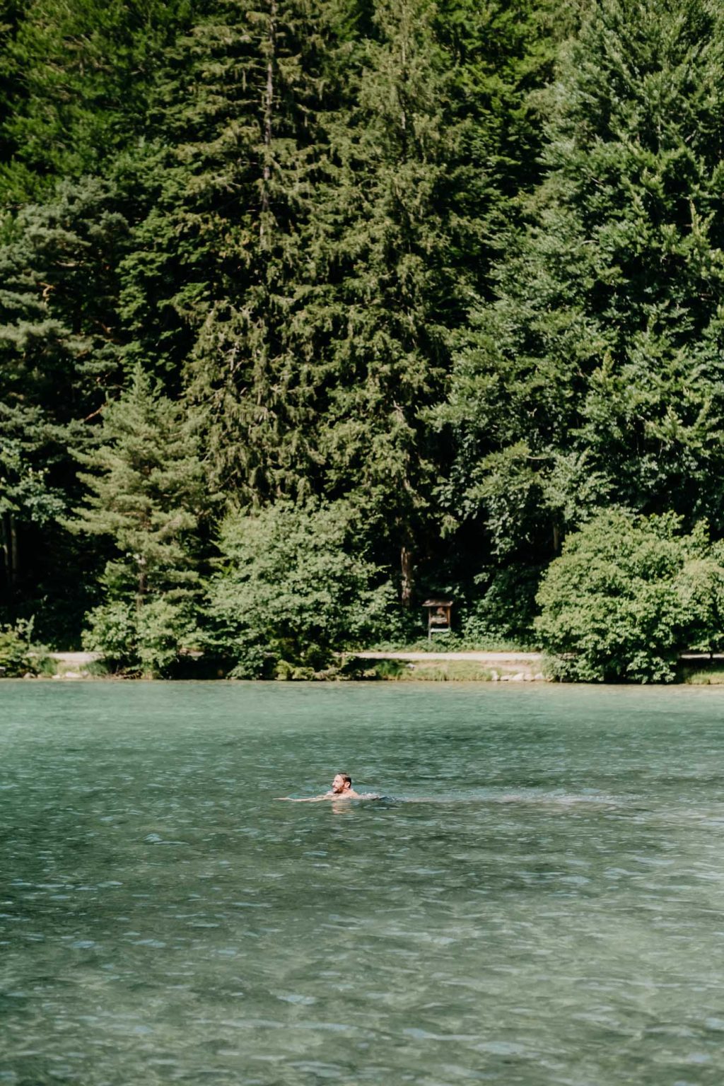 Blick über den Alatsee – Hochzeitsgast schwimmt im See, Wald spiegelt sich im Wasser